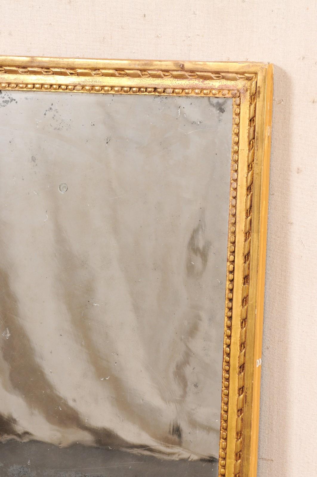 French 19th C. Gilt Mirror w/Original 2-Piece Glass (Just Shy of 5 Ft Tall) 1