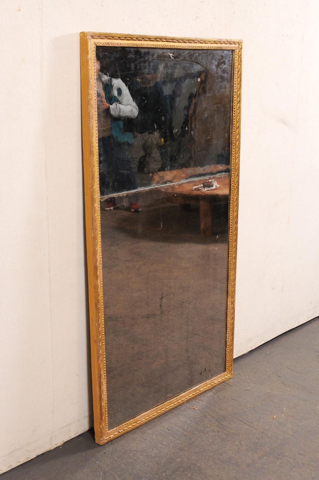 French 19th C. Gilt Mirror w/Original 2-Piece Glass (Just Shy of 5 Ft Tall) 4