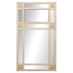 French 19th C. Tall Glass Panel Mirror w/Floral Medallion Accents