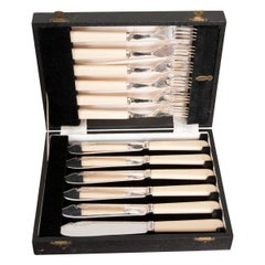 Antique French 19th Century 12-Piece Cased Set of Fish Flatware