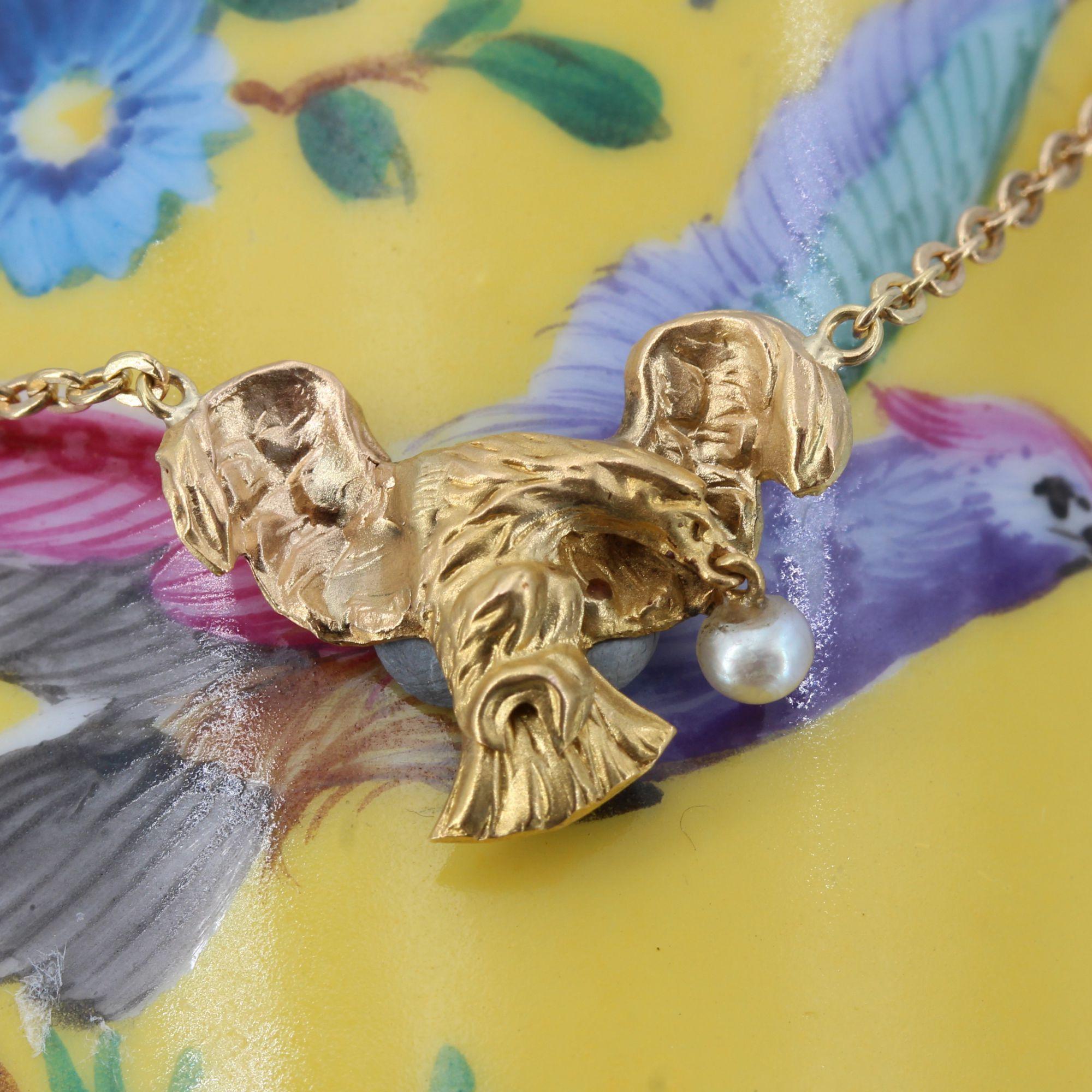 Chaîne collier français du 19ème siècle en or jaune 18 carats avec perles naturelles d'aigle 1