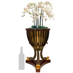 French 19th century 1st Empire Period Fruitwood, Mahogany, Brass, planter