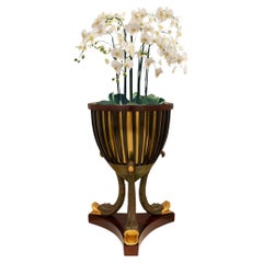 Antique French 19th century 1st Empire Period Fruitwood, Mahogany, Brass, planter