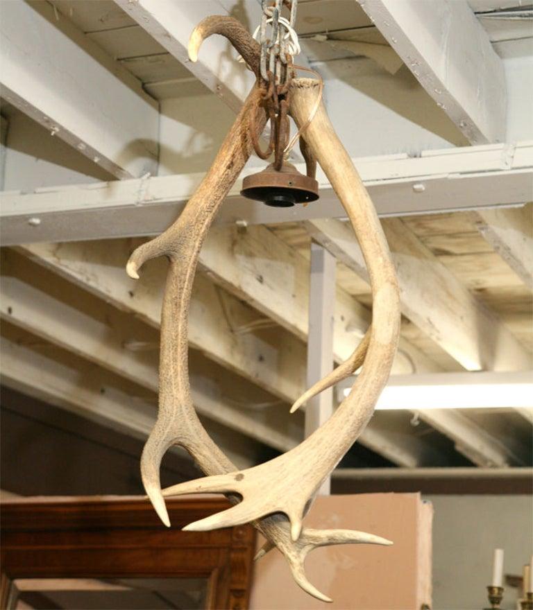 One of two similar antler chandelier. Beautiful and rustic 19th century French antler horn hanging lighting.