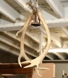 French 19th Century Antler Chandelier