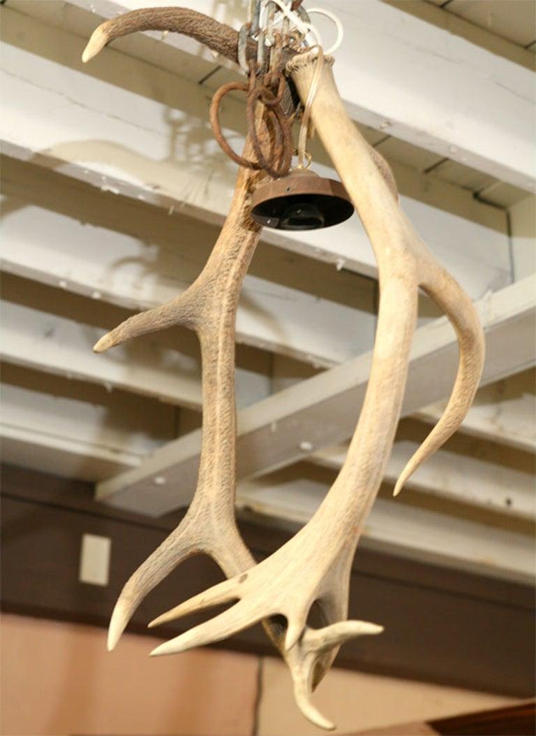 French 19th Century Antler Chandelier In Good Condition For Sale In Sheffield, MA