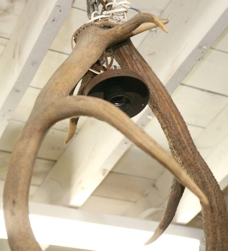French 19th Century Antler Chandelier For Sale 1