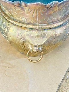French 19th Century Baroque Brass Lion-Head Jardinière, Polished, Gold Color