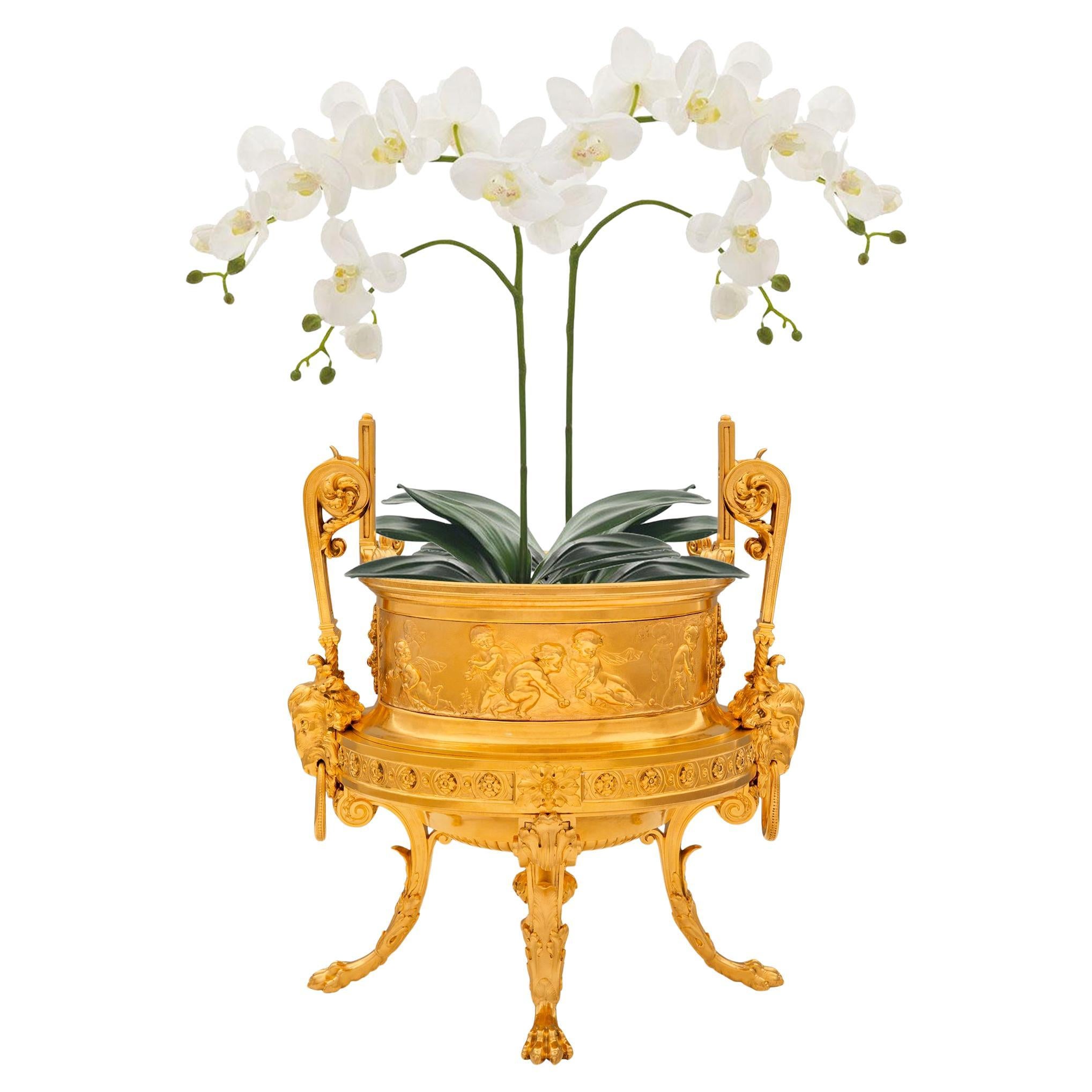 French Belle Epoque del XIX secolo, periodo neoclassico. Fioriera in ormolu