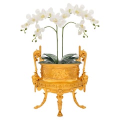 Siglo XIX French Belle Epoque Período Neo-Clásico st. Jardinera de ormolu