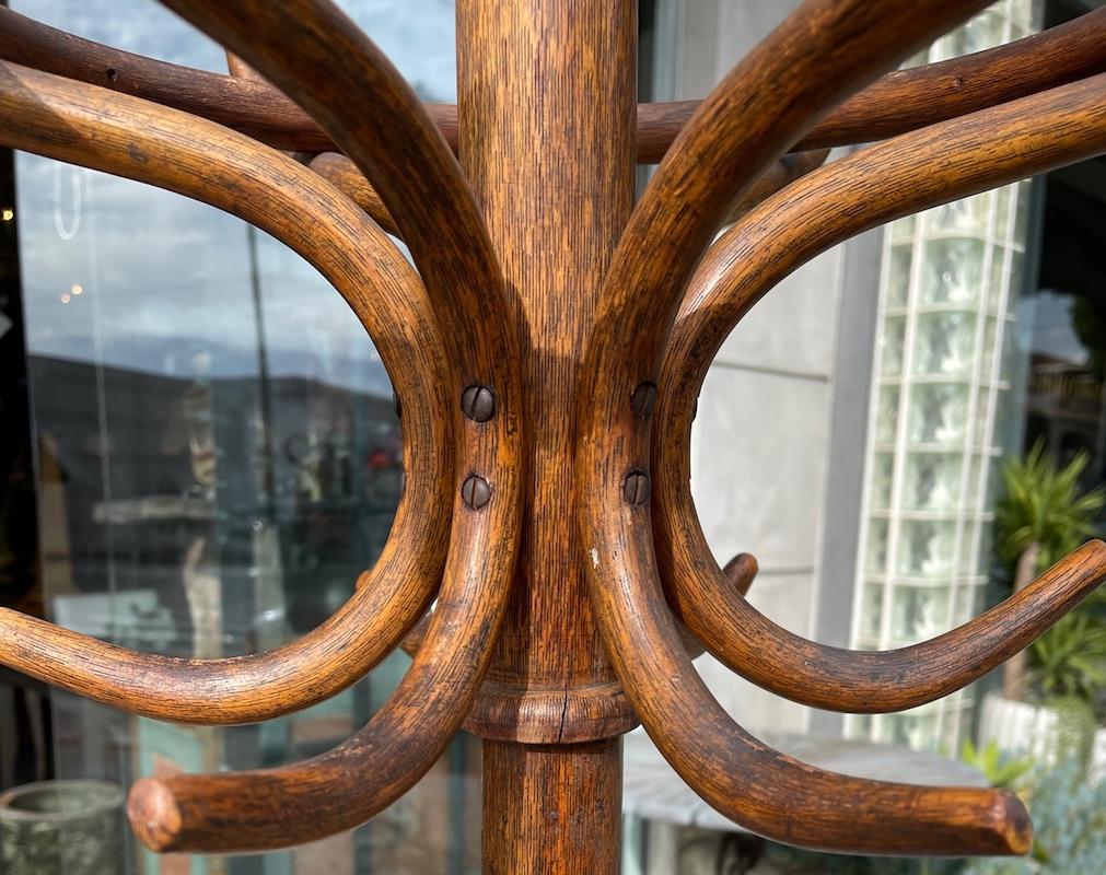 Stained French 19th Century Bentwood Bistro Coat Stand