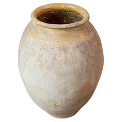 Vaso Biot francese del XIX secolo