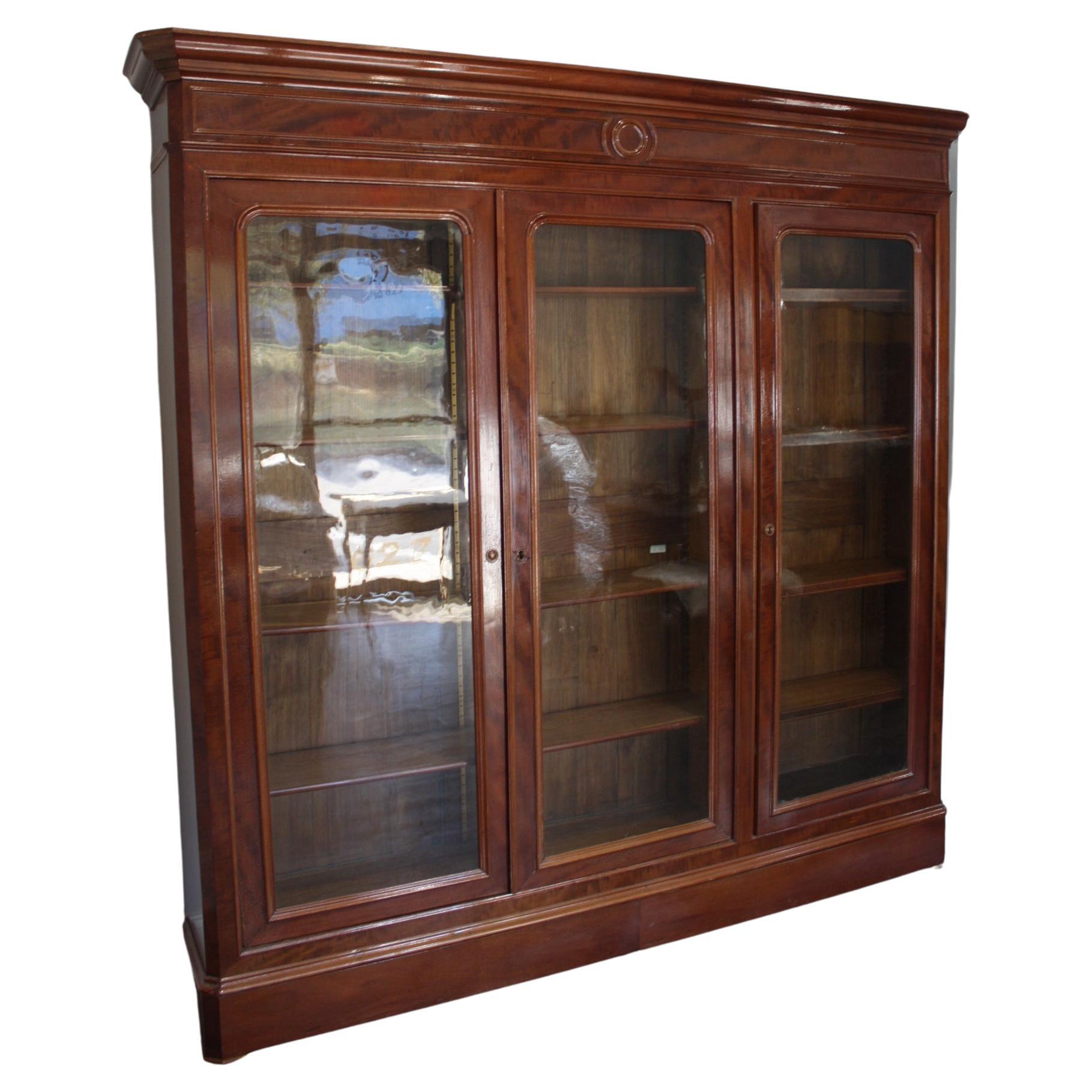 French 19th Century Bookcase or Vitrine For Sale 10
