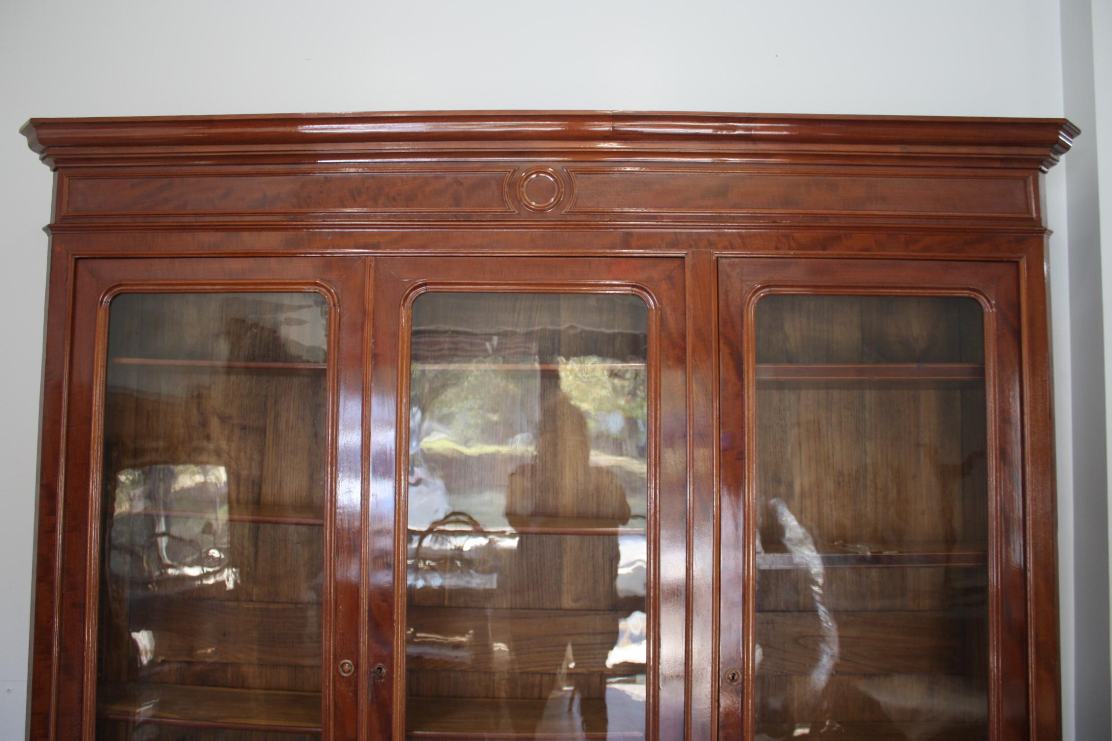 Louis Philippe French 19th Century Bookcase or Vitrine For Sale