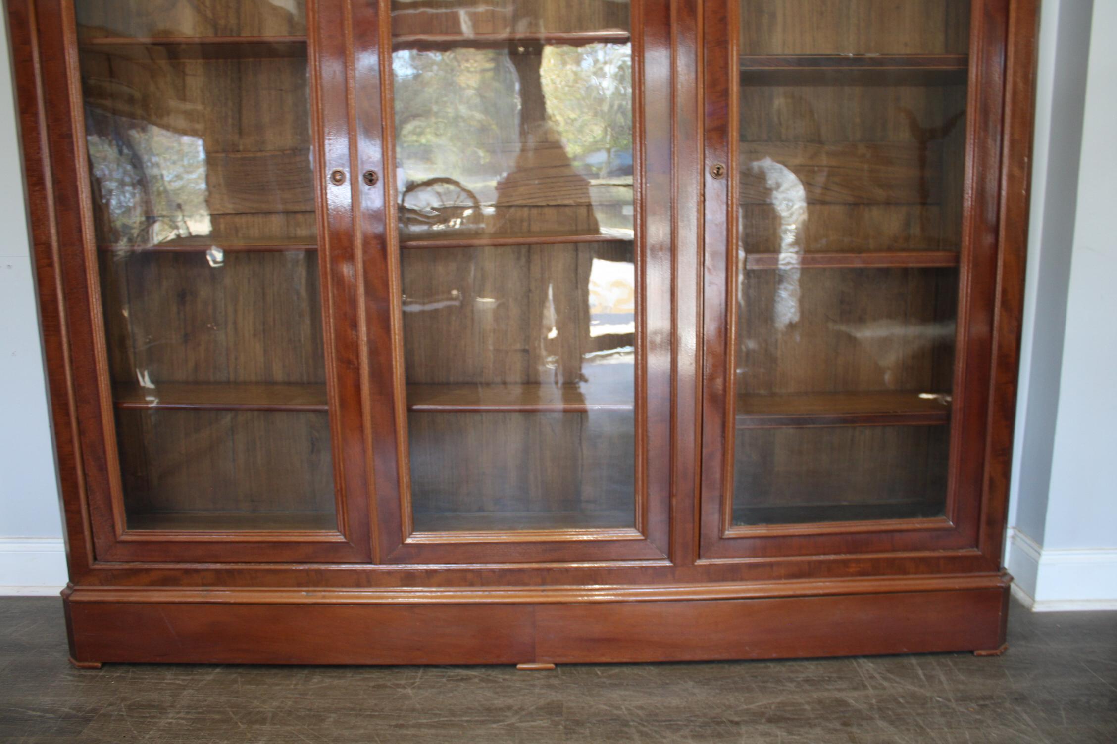 Mahogany French 19th Century Bookcase or Vitrine For Sale