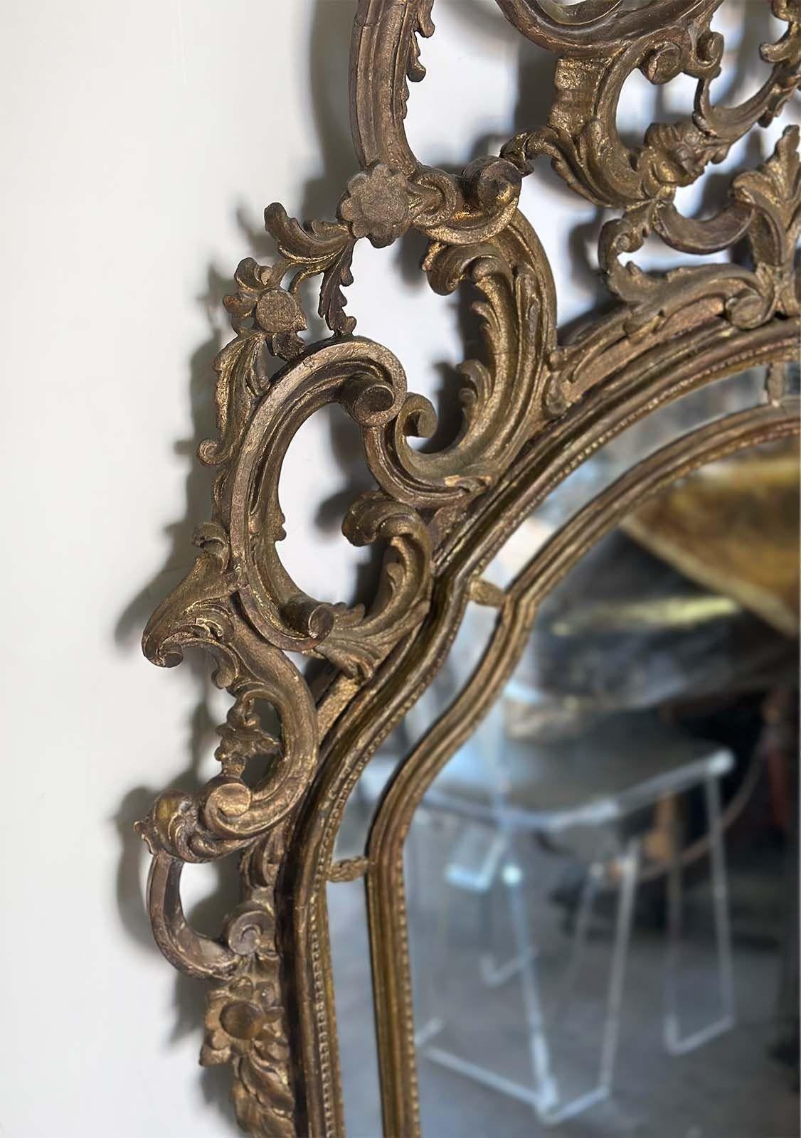 French 19th Century Carved Gilt wood Rococo Mirror In Good Condition For Sale In Los Angeles, CA