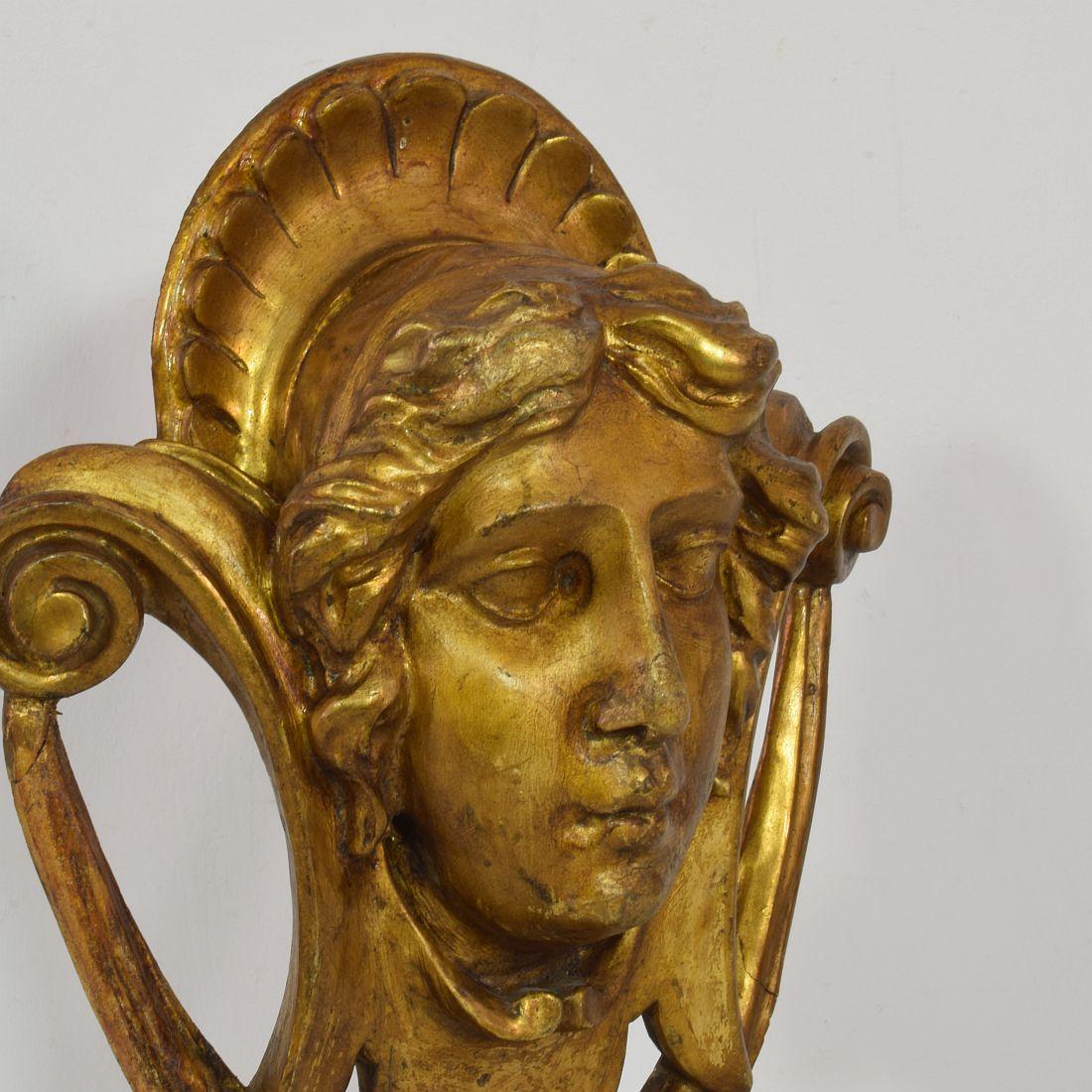 French 19th Century Carved Wood Head Fragment 5
