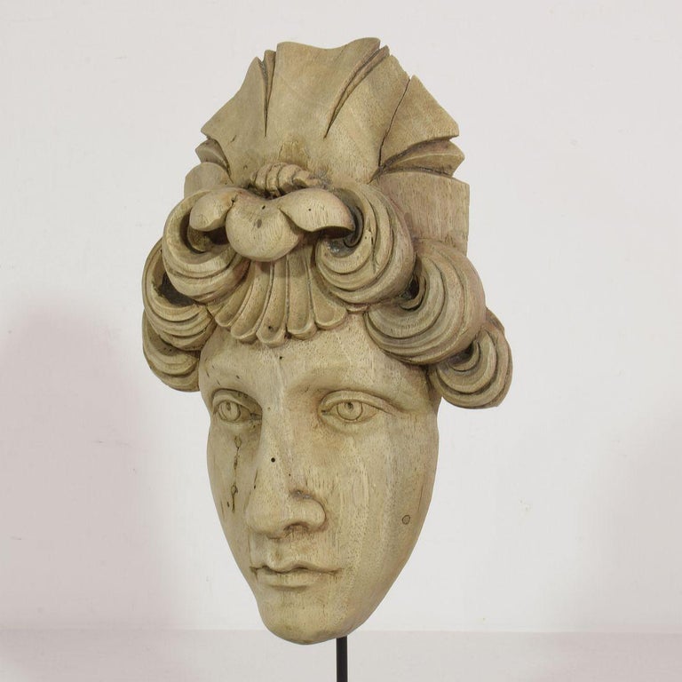 French 19th Century Carved Wood Head Fragment For Sale 3
