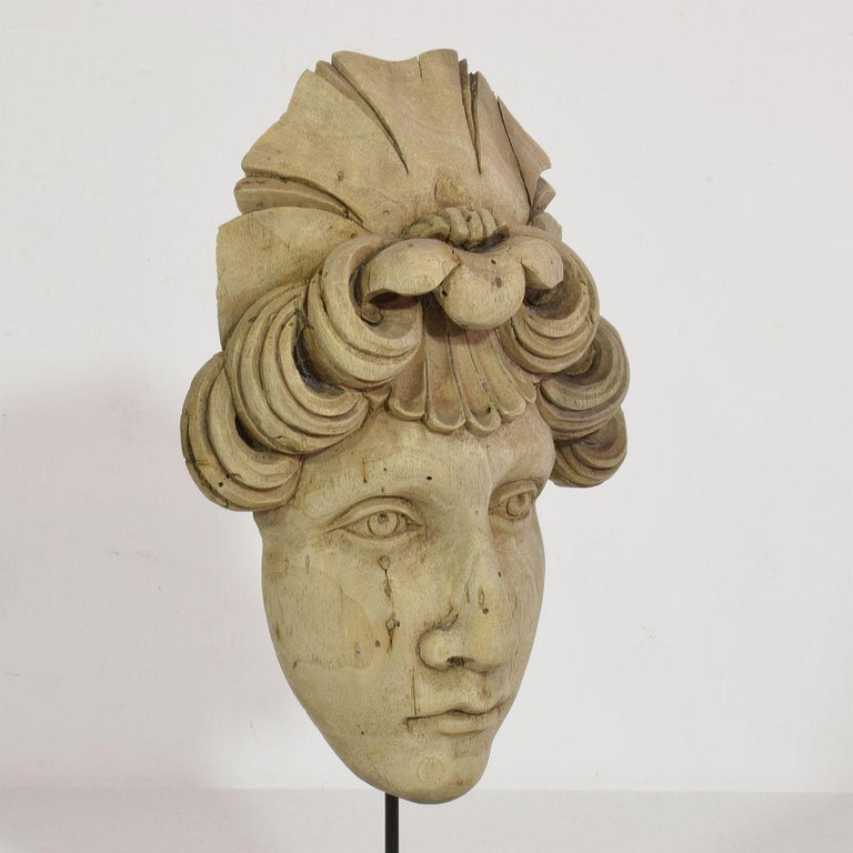 French 19th Century Carved Wood Head Fragment For Sale 4
