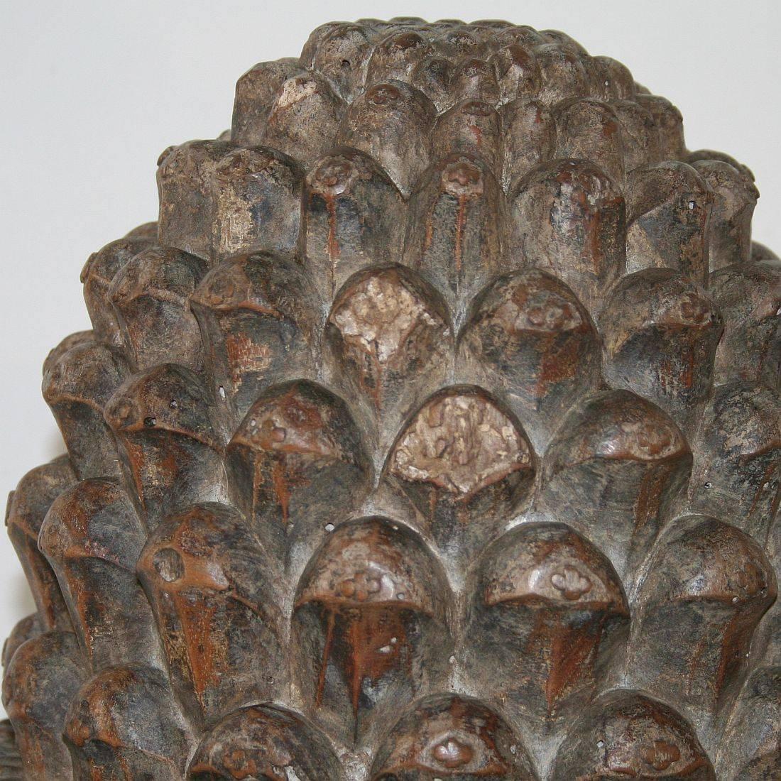 French 19th Century Carved Wooden Pine Cone 3
