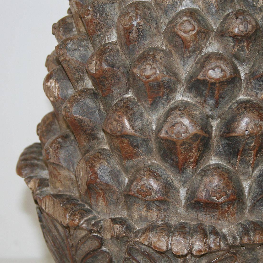 French 19th Century Carved Wooden Pine Cone 4