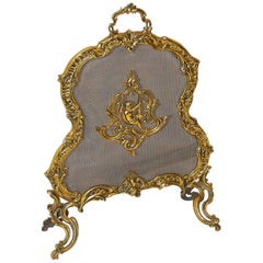 French 19th Century Cast Brass Shaped and Footed Fire Screen