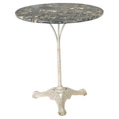 French 19th Century Cast Iron & Breccia Marble Table