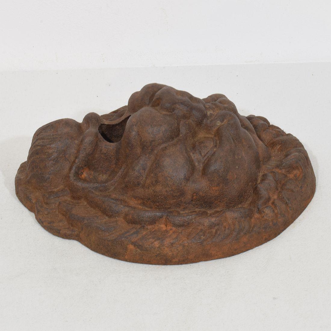 French, 19th Century Cast Iron Lion Fountain Head For Sale 6