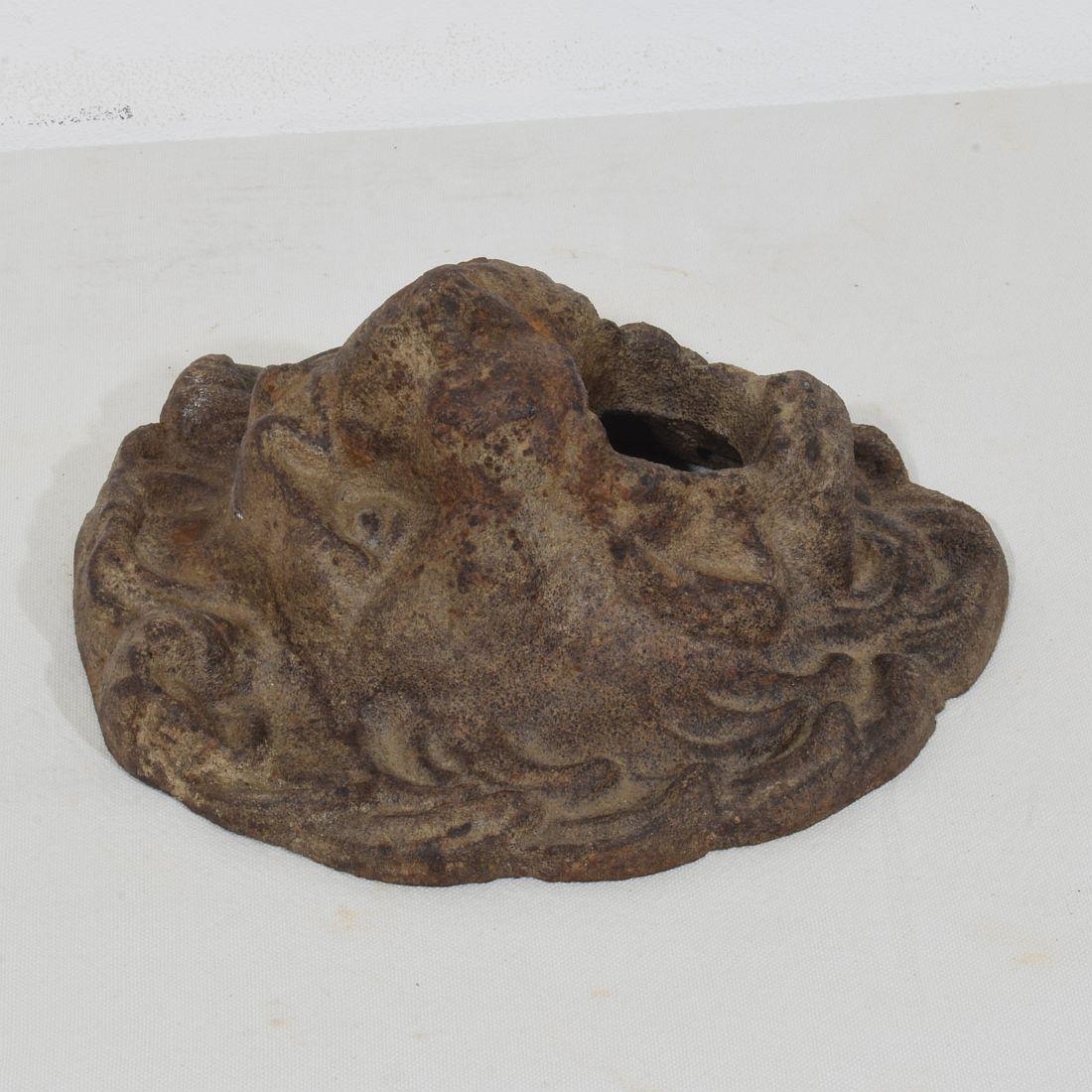 Tête de fontaine Lion en fonte, France, 19e siècle en vente 3