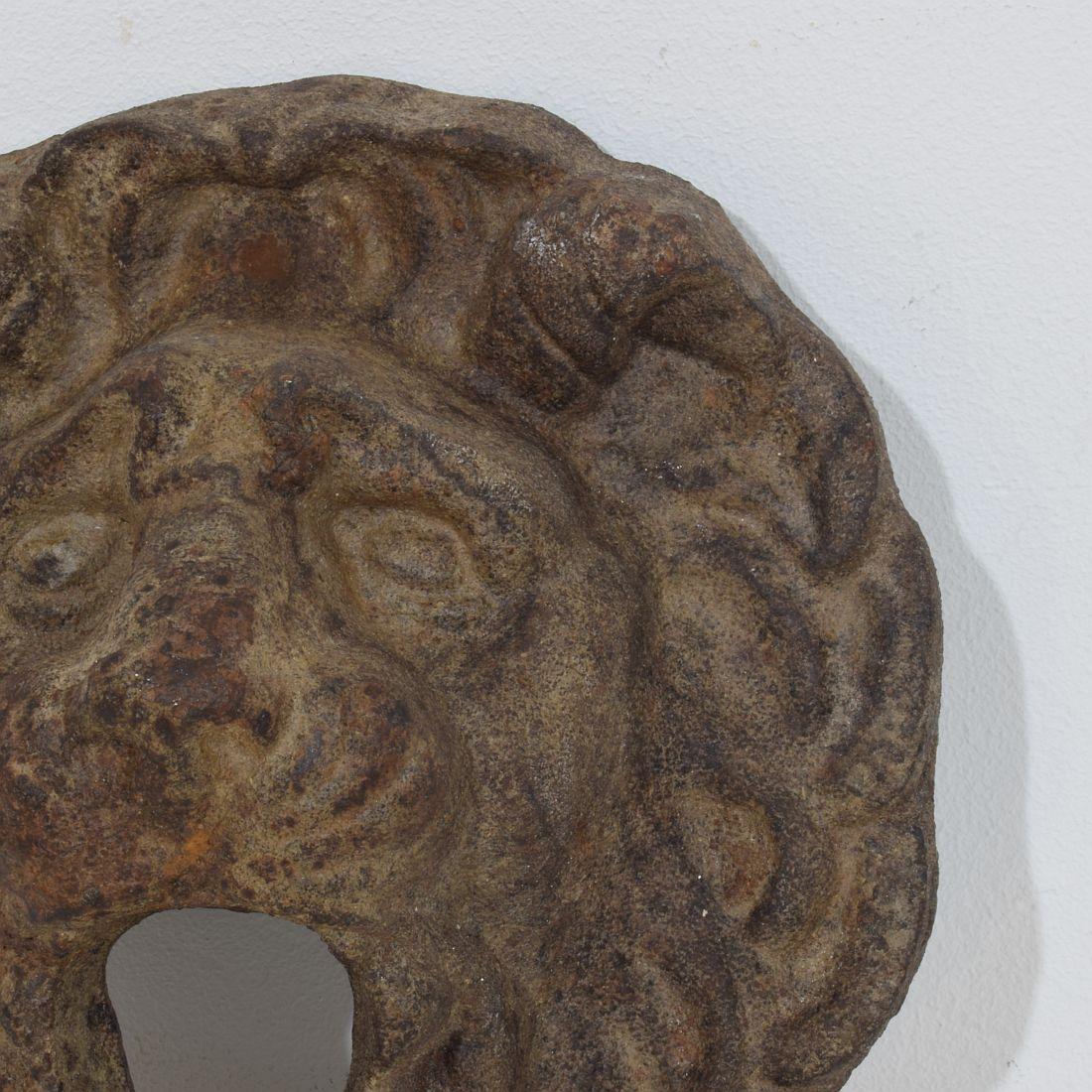 Moulage Tête de fontaine Lion en fonte, France, 19e siècle en vente