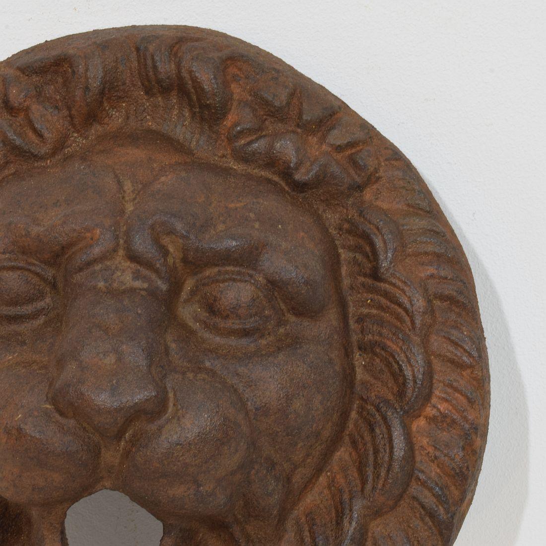 Calco Testa di fontana di leone in ghisa francese, XIX secolo in vendita