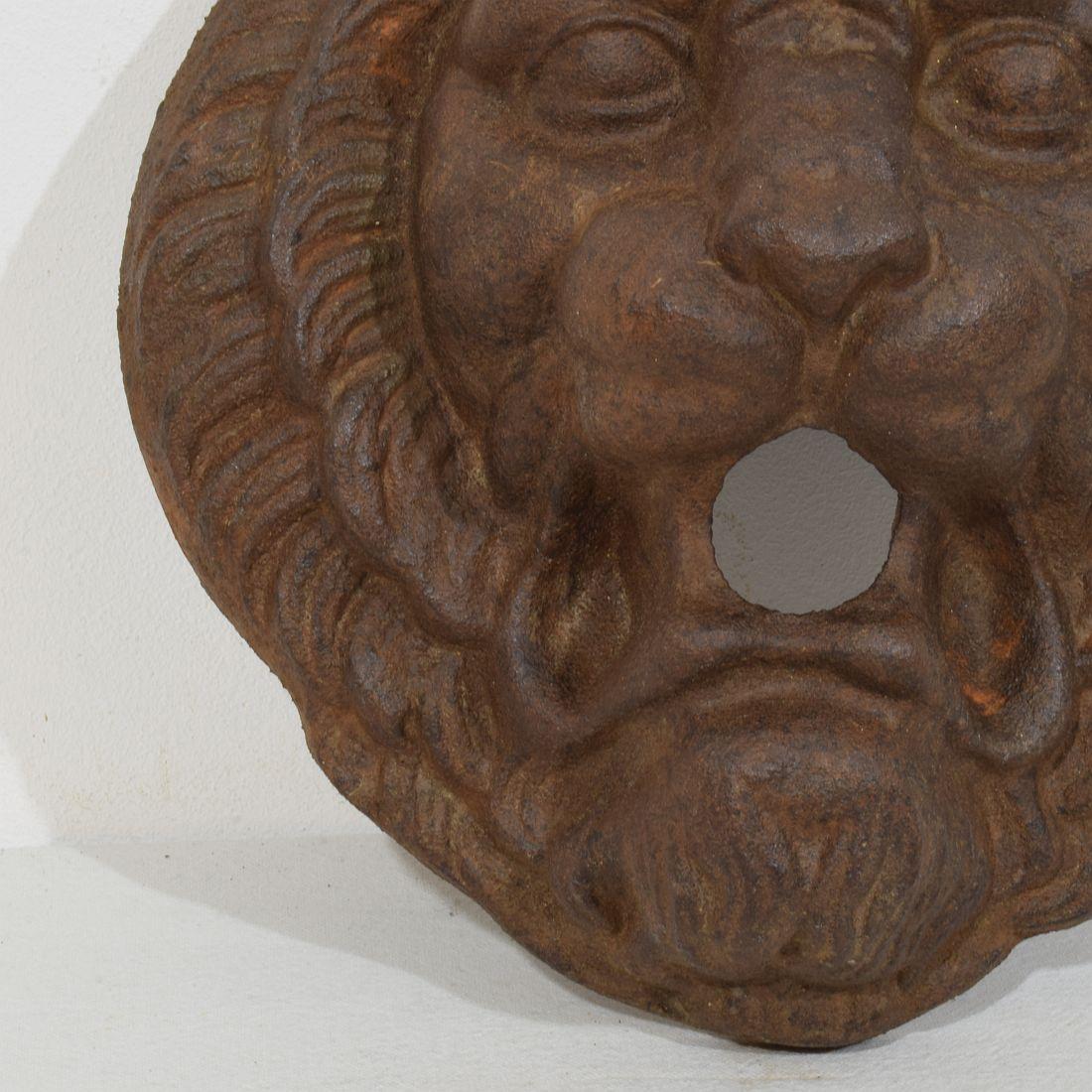 Testa di fontana di leone in ghisa francese, XIX secolo In condizioni buone in vendita a Buisson, FR