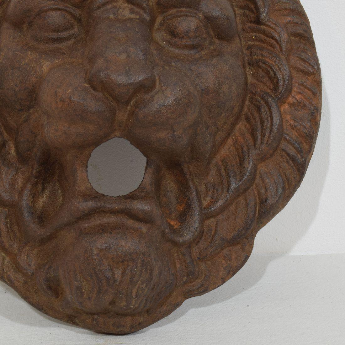 XIXe siècle Tête de fontaine Lion en fonte, France, 19e siècle en vente