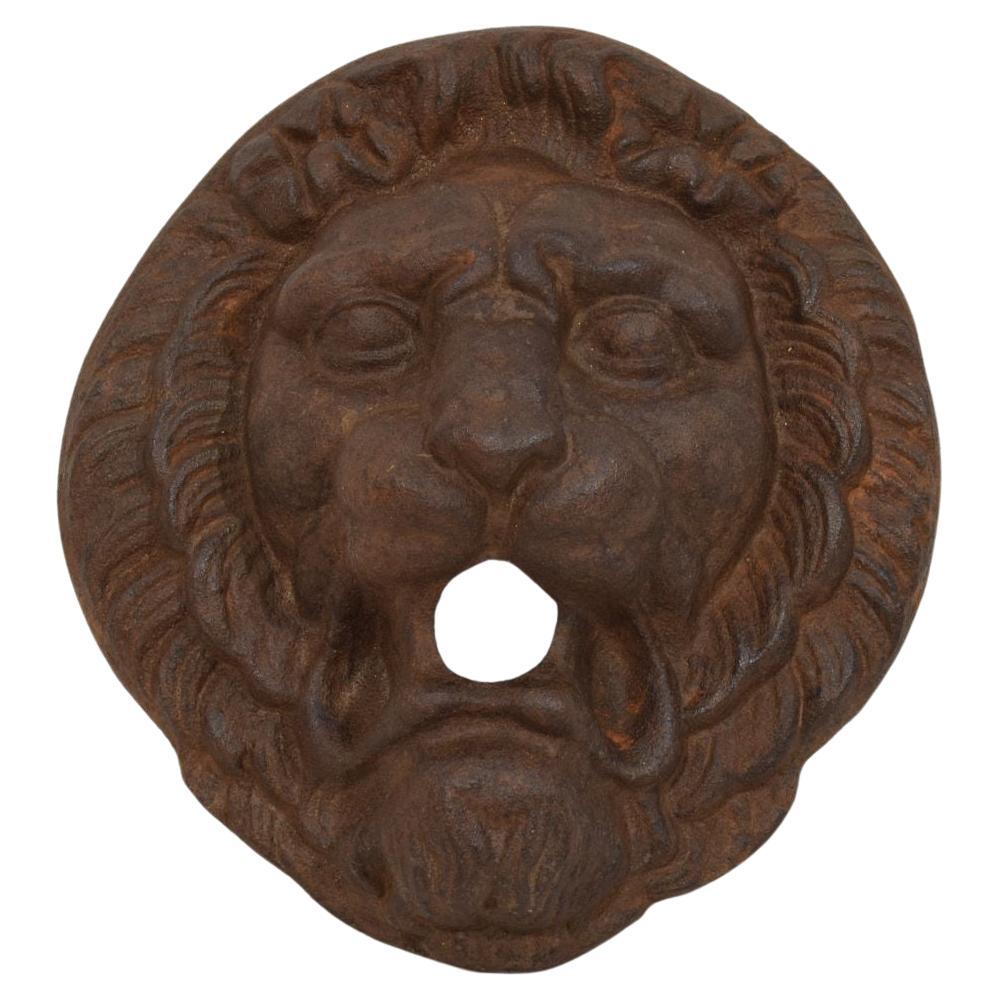 Französisch, 19. Jahrhundert Gusseisen Löwenbrunnen Kopf