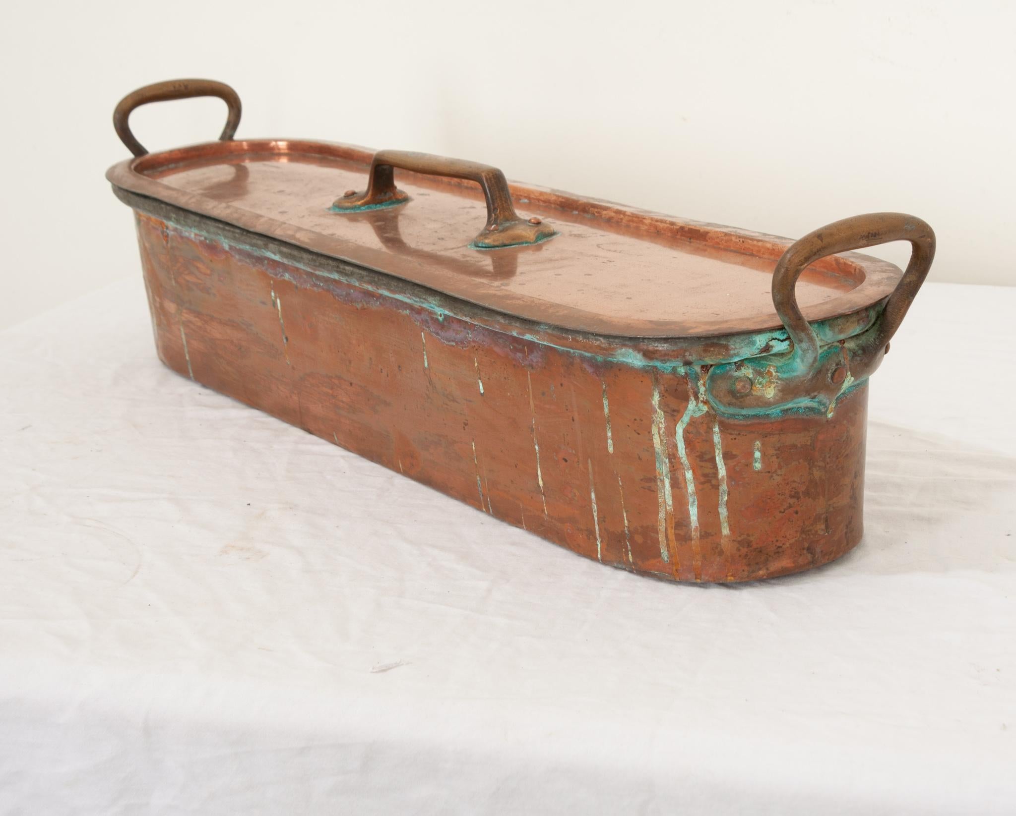 French 19th Century Copper Fish Kettle For Sale 1