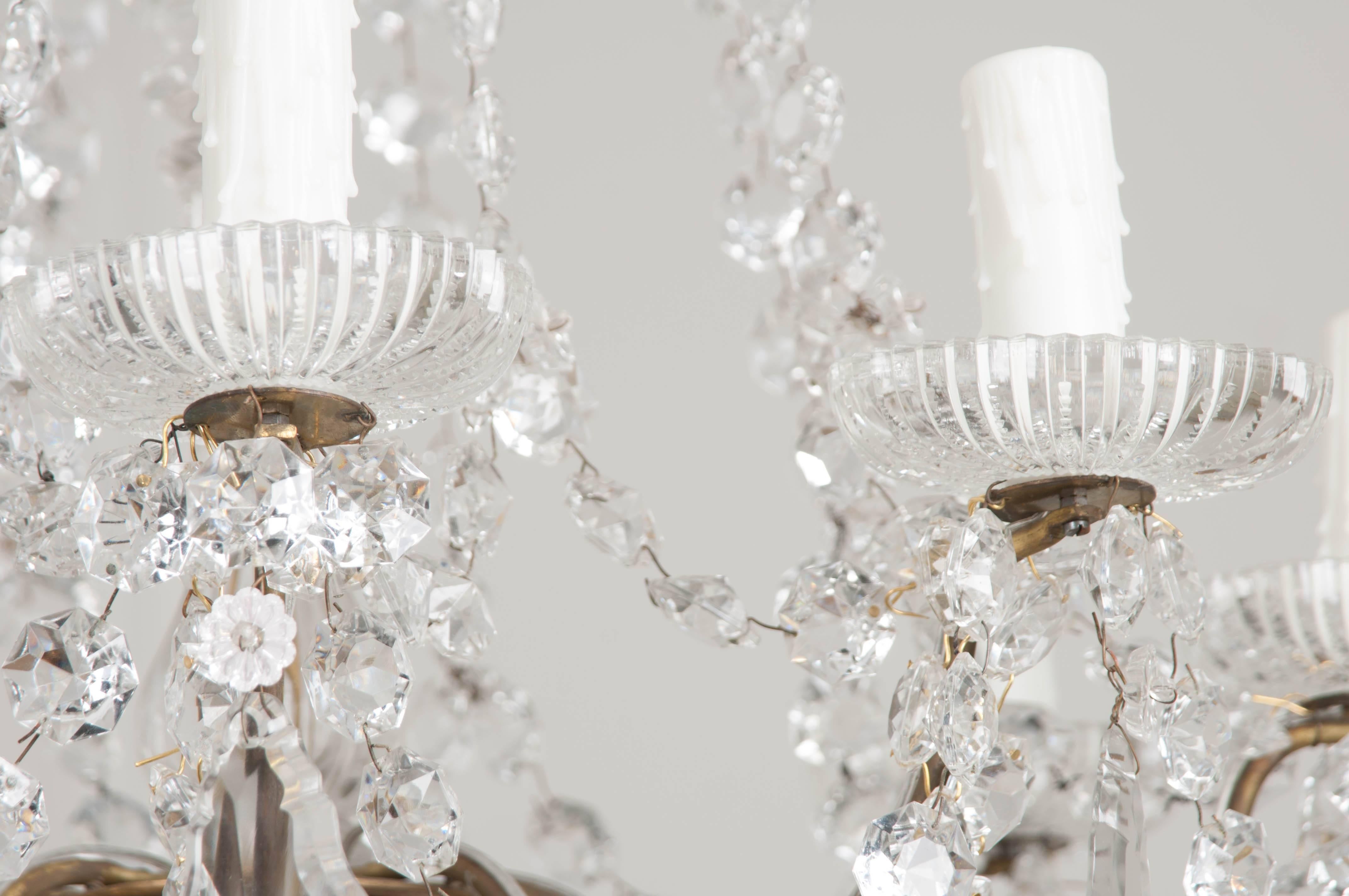 French 19th Century Crystal and Brass Chandelier 4