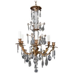 French 19th Century Crystal and Brass Louis XV Style Chandelier