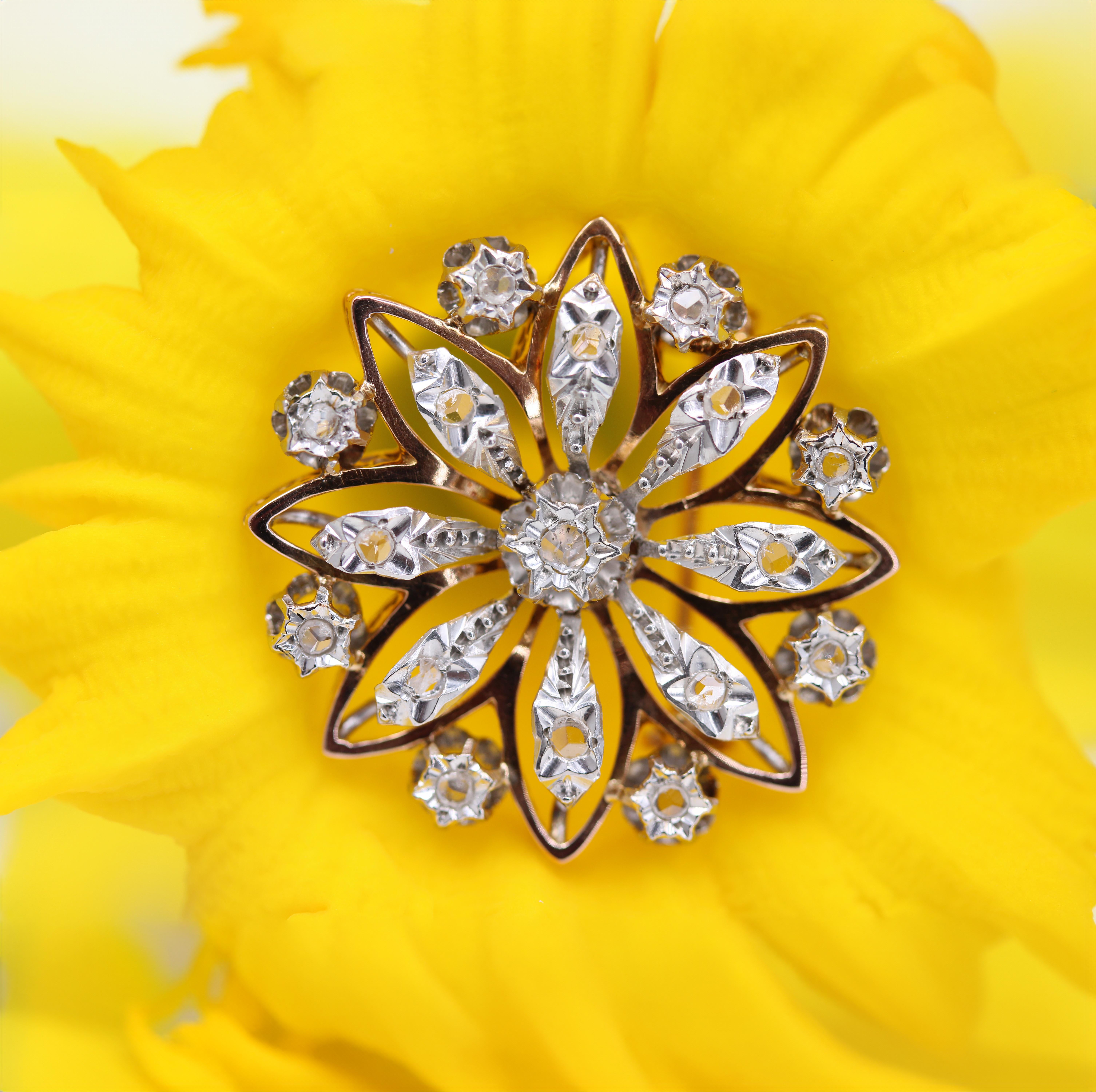 French 19th Century Diamonds 18 Karat Rose Gold Snowflake Brooch 4