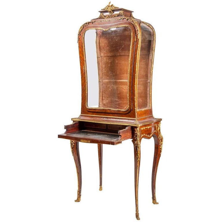 French 19th Century Display For Sale at 1stDibs