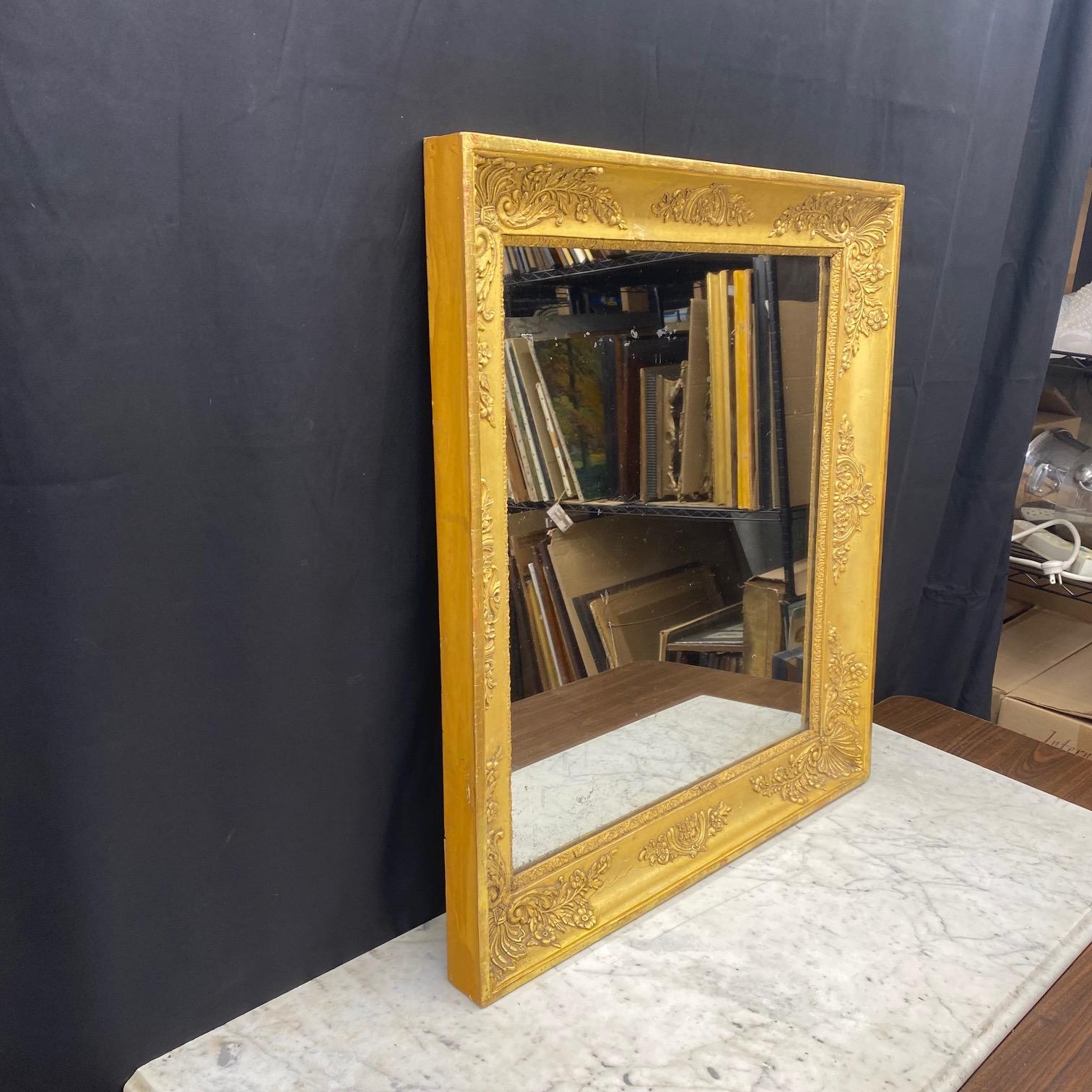 Beautiful Empire gold gilt mirror with neoclassical embossed motifs: a classic French form. A lovely rectangular shape, the surfaces all decorated with gilt-gesso decorations consisting of friezes of foliate scrolls, neoclassical rosettes, and egg