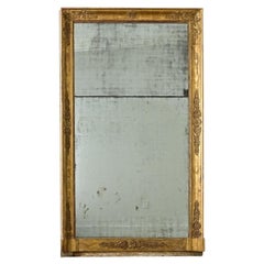 French 19th Century Empire Mirror