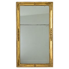 French 19th Century Empire Mirror