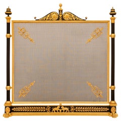 Antique French 19th century Empire st. patinated Bronze and Ormolu fire screen