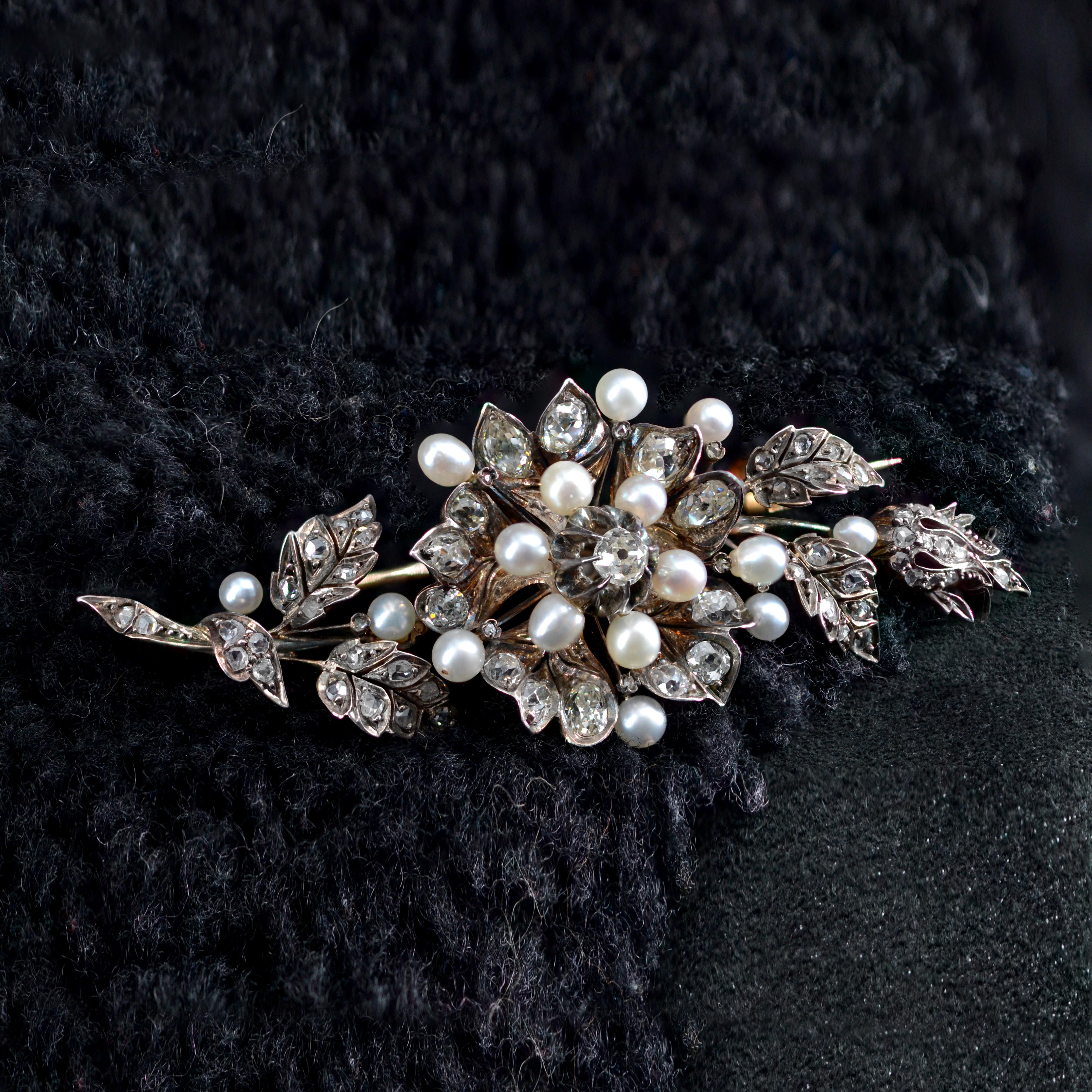 Napoleon III French 19th Century Fine Pearls Diamonds Shaking Brooch For Sale