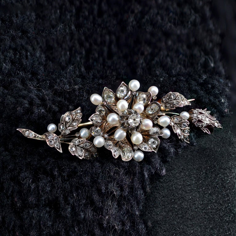 Bead French 19th Century Fine Pearls Diamonds Shaking Brooch For Sale