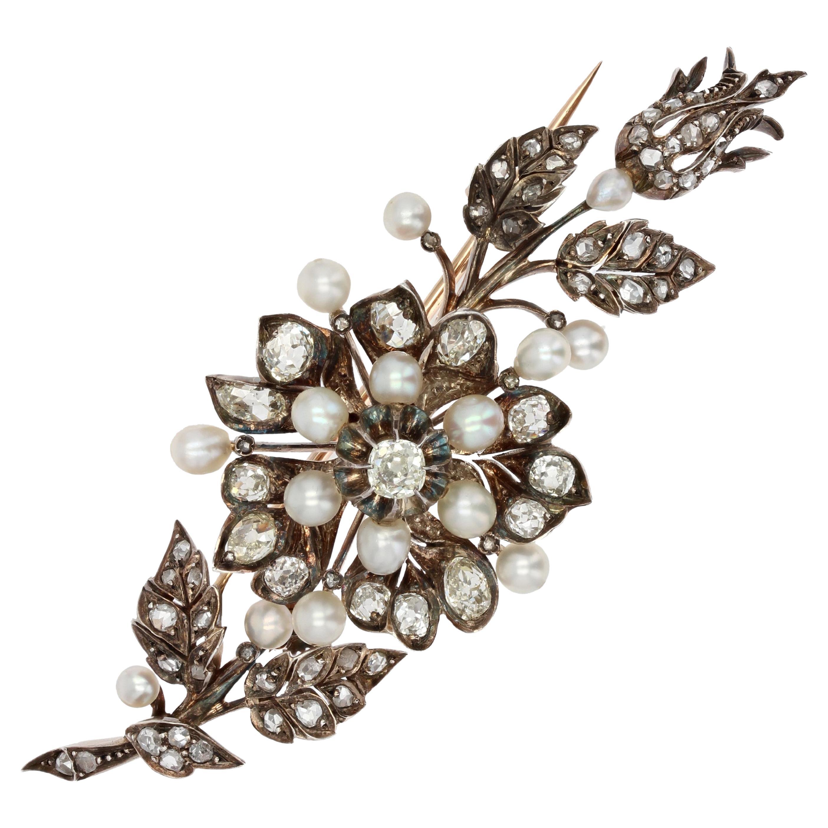 French 19th Century Fine Pearls Diamonds Shaking Brooch