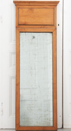 French 19th Century Fruitwood Trumeau