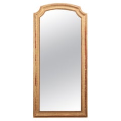 French 19th Century Giltwood Mirror