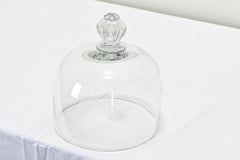 French 19th Century Glass Cheese Dome