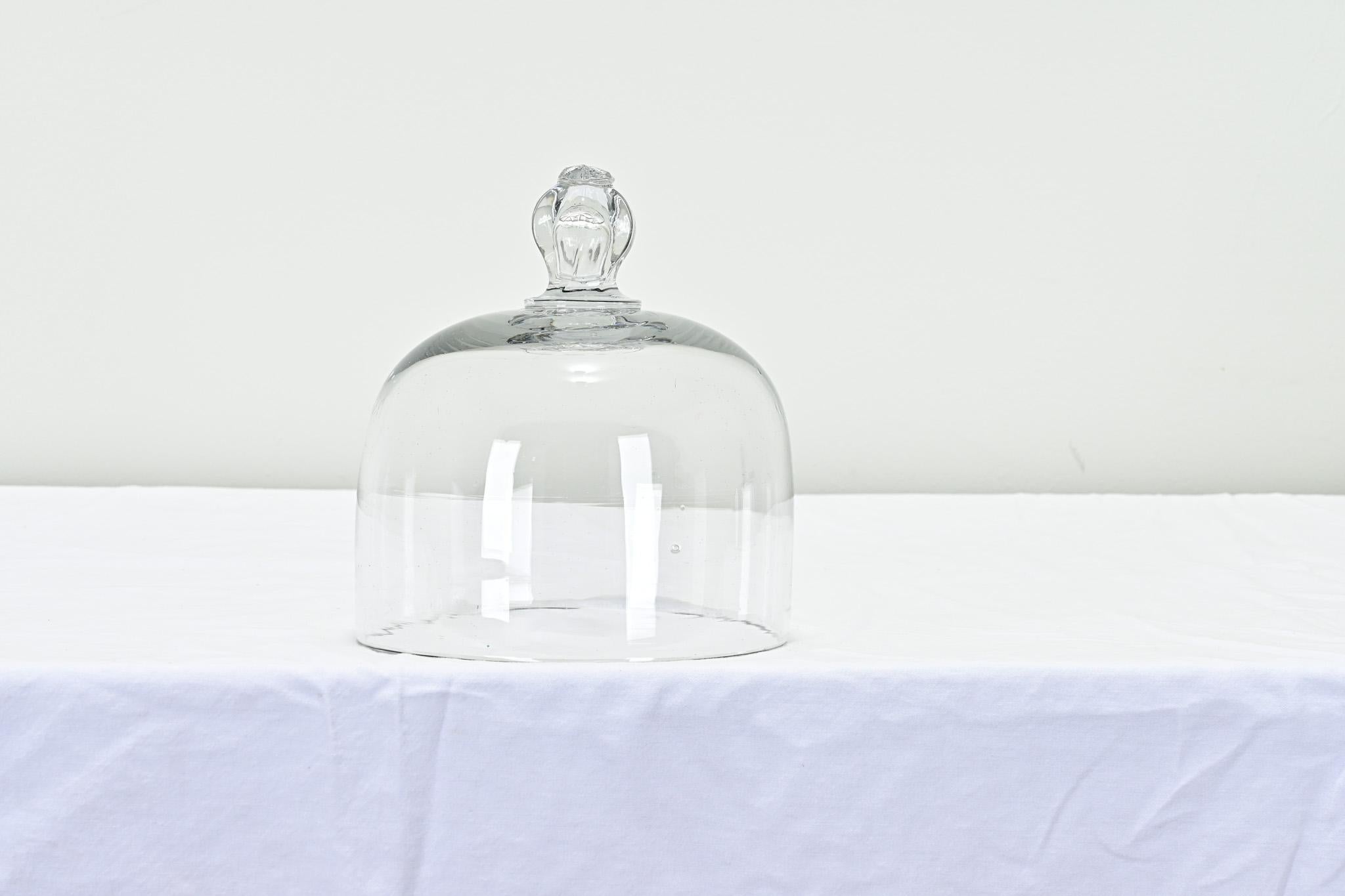 Other French 19th Century Glass Cheese Dome For Sale